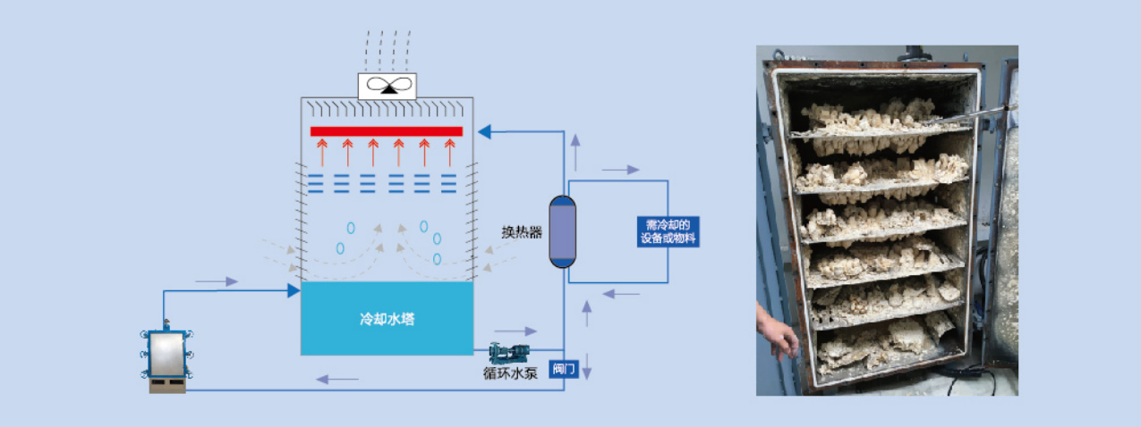 EWT半自動(dòng)雙開門